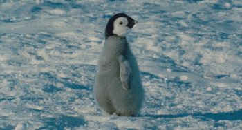 Movie still from “March of the Penguins” (2005), directed by Luc Jacquet – A baby penguin standing in the middle of a snow covered field; Medium shot, High angle