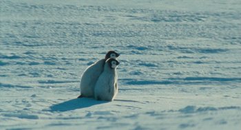 Movie still from “March of the Penguins” (2005), directed by Luc Jacquet – A couple of penguins sitting in the snow; Wide shot, High angle