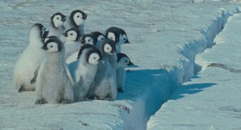 Movie still from “March of the Penguins” (2005), directed by Luc Jacquet – A group of baby penguins standing on top of a snow covered ground; Wide shot, High angle