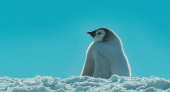 Movie still from “March of the Penguins” (2005), directed by Luc Jacquet – A small penguin is sitting in the snow; Extreme Close Up shot, Low angle