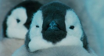 Movie still from “March of the Penguins” (2005), directed by Luc Jacquet – A penguin's face with its eyes closed; Extreme Close Up shot, High angle