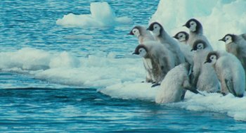 Movie still from “March of the Penguins” (2005), directed by Luc Jacquet – A group of penguins standing on top of ice floes in the ocean; Wide shot, High angle