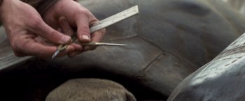 Movie still from “Master and Commander: The Far Side of the World” (2003), directed by Peter Weir – A hand holding a pair of scissors and a ruler; Extreme Close Up shot, High angle
