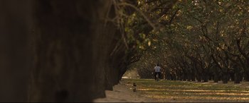 Movie still from “McFarland, USA” (2015), directed by Niki Caro – A man walking down a tree lined path; Extreme Wide shot, Low angle