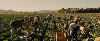 Movie still from “McFarland, USA” (2015), directed by Niki Caro – A group of people picking vegetables in a field; Extreme Wide shot, High angle