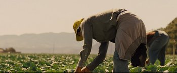 Movie still from “McFarland, USA” (2015), directed by Niki Caro – A man in a yellow hat working in a field; Wide shot, Low angle