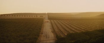 Movie still from “McFarland, USA” (2015), directed by Niki Caro – A group of people walking down a dirt road; Extreme Wide shot, High angle