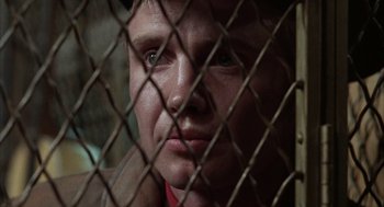 Movie still from “Midnight Cowboy” (1969), directed by John Schlesinger – A person behind a chain link fence; Close Up shot, Low angle