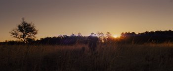 Movie still from “Midnight Special” (2016), directed by Jeff Nichols – A man standing in a field with a dog; Extreme Wide shot, Low angle