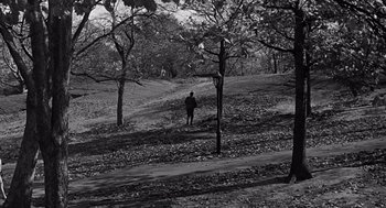 Movie still from “Mirage” (1965), directed by Edward Dmytryk – A person walking on a path in the woods; Extreme Wide shot, High angle