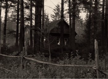 Movie still from “Mirror” (1975), directed by Andrei Tarkovsky – An old photo of a cabin in the woods; Extreme Wide shot, Low angle