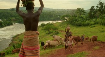 Movie still from “Mississippi Masala” (1991), directed by Mira Nair – A group of people herding cattle down a hill; Extreme Wide shot, High angle
