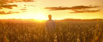 Movie still from “Moon Knight” (2022), directed by Mohamed Diab – A man standing in a field of tall grass at sunset; Extreme Wide shot, Low angle