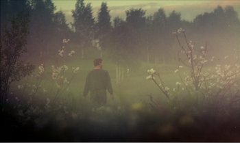 Movie still from “Mother and Son” (1997), directed by Aleksandr Sokurov – A man is walking through a field of flowers; Wide shot, Over the shoulder angle