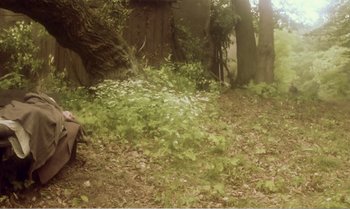 Movie still from “Mother and Son” (1997), directed by Aleksandr Sokurov – A forest filled with lots of green leaves; Wide shot, High angle