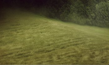 Movie still from “Mother and Son” (1997), directed by Aleksandr Sokurov – A grassy field with trees in the background; Extreme Wide shot, Low angle