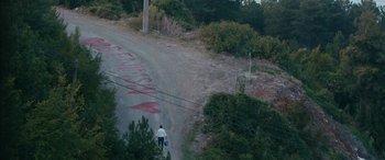 Movie still from “Mustang” (2015), directed by Deniz Gamze Ergüven – A man walking down the side of a road; Extreme Wide shot, High angle