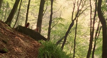 Movie still from “My Summer of Love” (2004), directed by Pawel Pawlikowski – A woman sitting on a rock in the middle of a forest; Extreme Wide shot, High angle
