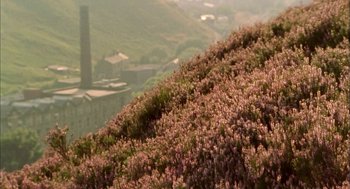 Movie still from “My Summer of Love” (2004), directed by Pawel Pawlikowski – A field of purple flowers on top of a hill; Extreme Wide shot, High angle