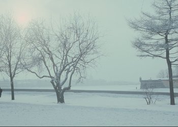 Movie still from “A Few Days from the Life of I.I. Oblomov” (1980), directed by Nikita Mikhalkov – A tree in the middle of a snow covered field; Extreme Wide shot, High angle