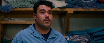 Movie still from “Observe and Report” (2009), directed by Jody Hill – A person wearing a blue shirt; Close Up shot, High angle