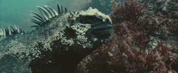 Movie still from “Oceans” (2009), directed by Jacques Cluzaud – The head of a sea dragon; Close Up shot, High angle