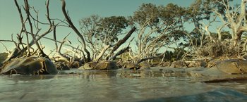 Movie still from “Oceans” (2009), directed by Jacques Cluzaud – A body of water surrounded by trees and rocks; Extreme Wide shot, Low angle