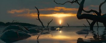 Movie still from “Oceans” (2009), directed by Jacques Cluzaud – The sun is setting over a body of water; Extreme Wide shot, Low angle
