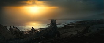 Movie still from “Oceans” (2009), directed by Jacques Cluzaud – The sun is setting over the ocean as a lizard sits on the beach; Extreme Wide shot, Low angle