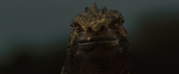 Movie still from “Oceans” (2009), directed by Jacques Cluzaud – The face of a lizard; Close Up shot, Low angle