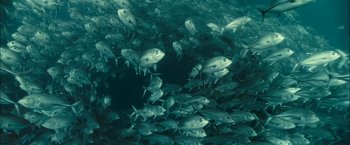 Movie still from “Oceans” (2009), directed by Jacques Cluzaud – A large group of fish swimming in the ocean; Extreme Wide shot, Overhead angle
