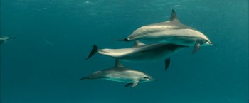 Movie still from “Oceans” (2009), directed by Jacques Cluzaud – A group of three dolphins swimming in the ocean; Wide shot, High angle