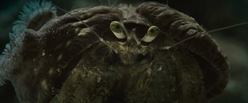 Movie still from “Oceans” (2009), directed by Jacques Cluzaud – The eyes of a crab; Extreme Close Up shot, High angle