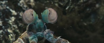 Movie still from “Oceans” (2009), directed by Jacques Cluzaud – A blue and green crab; Extreme Close Up shot, High angle