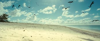 Movie still from “Oceans” (2009), directed by Jacques Cluzaud – A flock of birds flying over a sandy beach under a cloudy blue sky; Extreme Wide shot, High angle