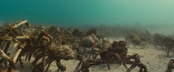 Movie still from “Oceans” (2009), directed by Jacques Cluzaud – A group of crabs in the sand under the water; Extreme Wide shot, High angle