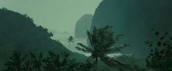 Movie still from “Oceans” (2009), directed by Jacques Cluzaud – A view of a body of water with a palm tree in the foreground; Extreme Wide shot, High angle