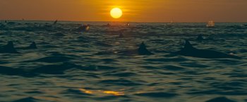 Movie still from “Oceans” (2009), directed by Jacques Cluzaud – A group of people swimming in the ocean at sunset; Extreme Wide shot, Low angle