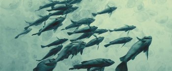 Movie still from “Oceans” (2009), directed by Jacques Cluzaud – A group of fish swimming in the water; Wide shot, Overhead angle