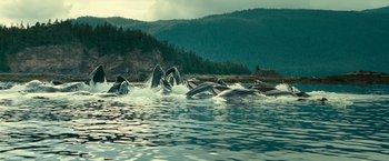 Movie still from “Oceans” (2009), directed by Jacques Cluzaud – A group of whales in the water near the shore; Extreme Wide shot, High angle