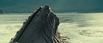 Movie still from “Oceans” (2009), directed by Jacques Cluzaud – View of a body of water; Extreme Wide shot, Low angle