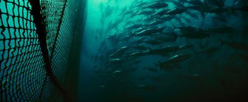 Movie still from “Oceans” (2009), directed by Jacques Cluzaud – A large group of fish swimming in the water; Extreme Wide shot, Overhead angle