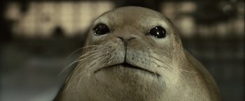 Movie still from “Oceans” (2009), directed by Jacques Cluzaud – The face of a seal; Extreme Close Up shot, Low angle
