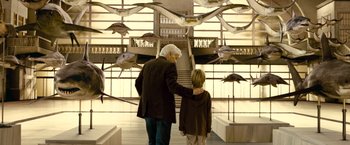 Movie still from “Oceans” (2009), directed by Jacques Cluzaud – A man and a boy are looking at fish on the wall; Wide shot, High angle