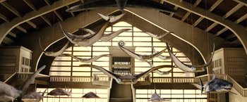 Movie still from “Oceans” (2009), directed by Jacques Cluzaud – Many fake sharks hanging from the ceiling; Extreme Wide shot, Low angle