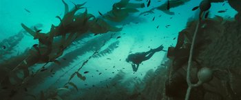 Movie still from “Oceans” (2009), directed by Jacques Cluzaud – A person in a black wet suit swimming in a body of water; Extreme Wide shot, High angle