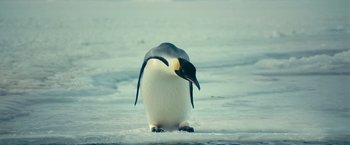 Movie still from “Oceans” (2009), directed by Jacques Cluzaud – A penguin standing in the snow on a beach; Close Up shot, Low angle