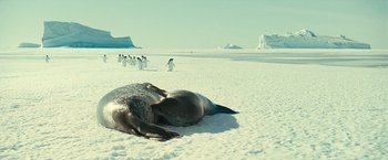 Movie still from “Oceans” (2009), directed by Jacques Cluzaud – A seal laying on the beach next to a group of penguins; Extreme Wide shot, High angle