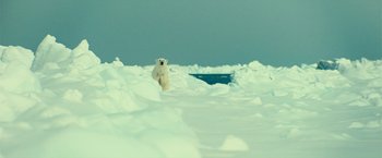Movie still from “Oceans” (2009), directed by Jacques Cluzaud – A polar bear walking through the snow on a clear day; Extreme Wide shot, Low angle