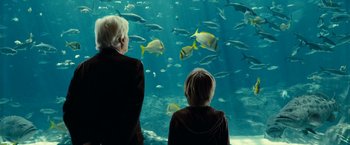 Movie still from “Oceans” (2009), directed by Jacques Cluzaud – Two people looking at fish in an aquarium; Medium shot, Over the shoulder angle